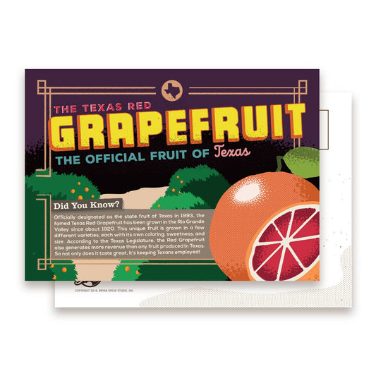 The Texas Red Grapefruit Postcard