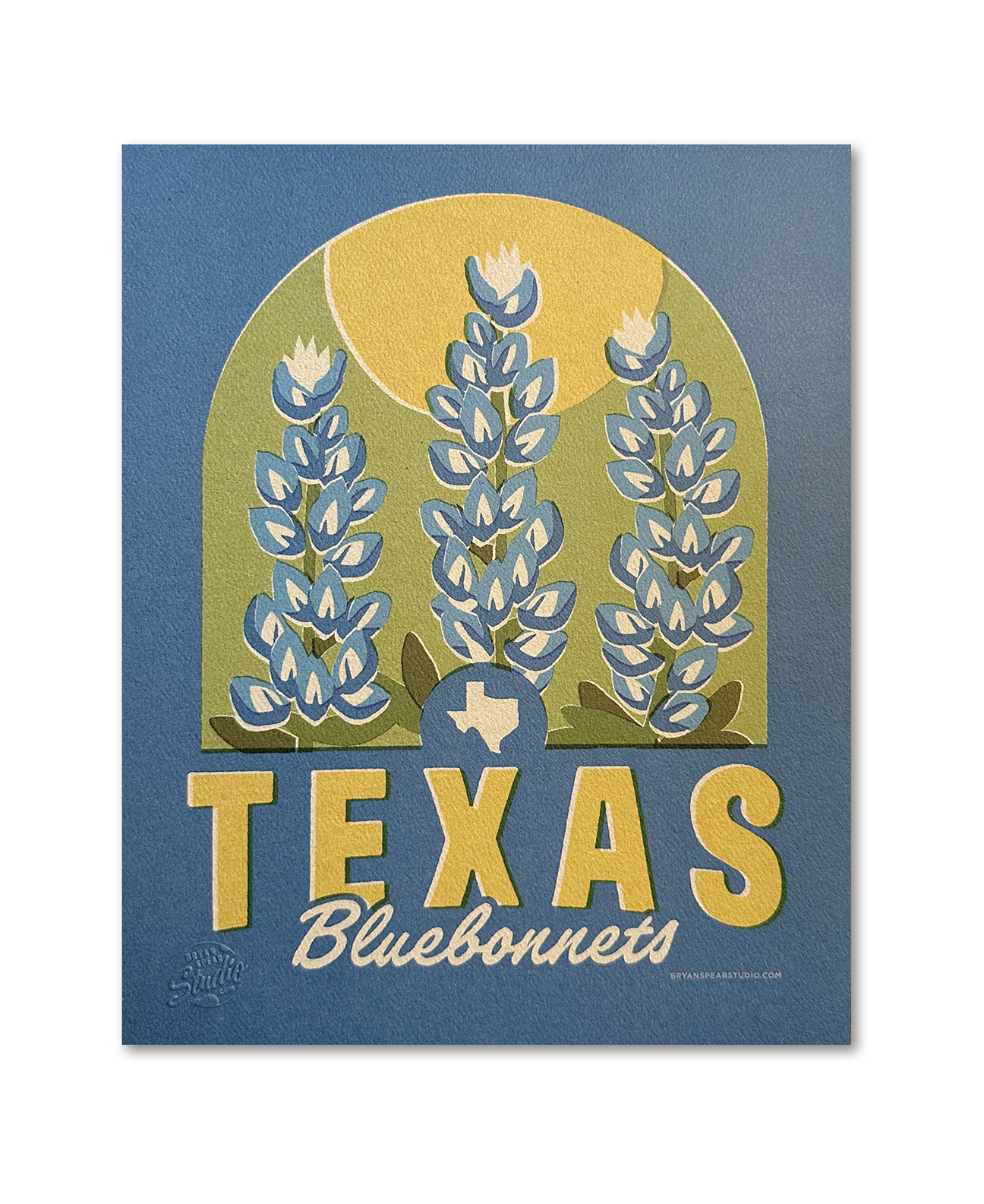 Texas Bluebonnets Print