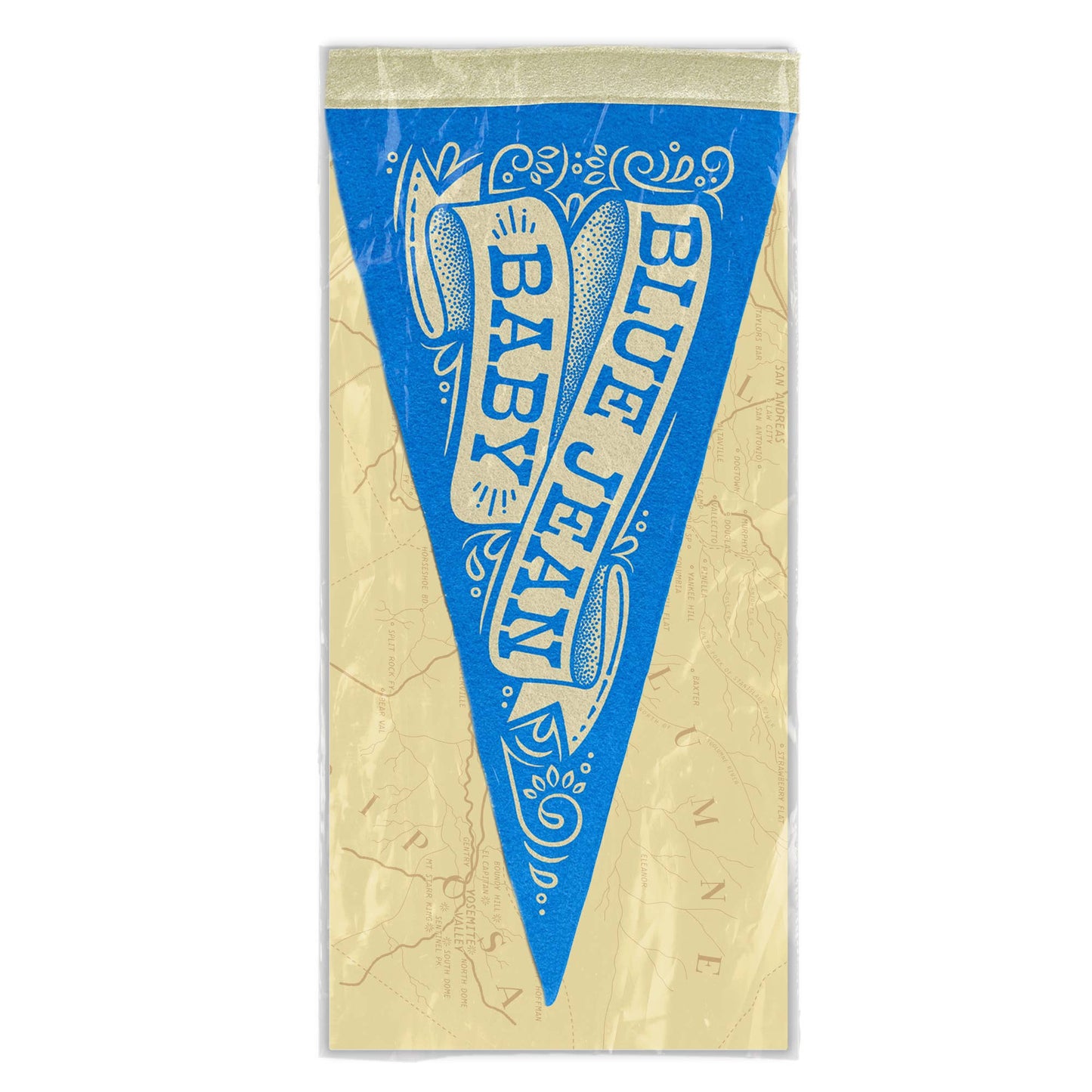 Blue Jean Baby Mini Pennant