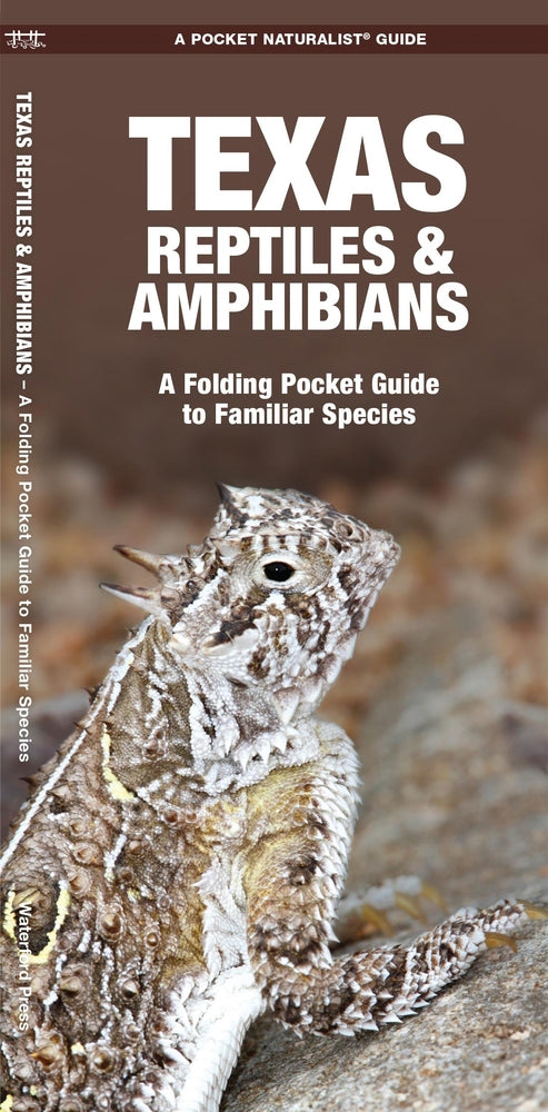 Texas Reptiles & Amphibians Pocket Guide