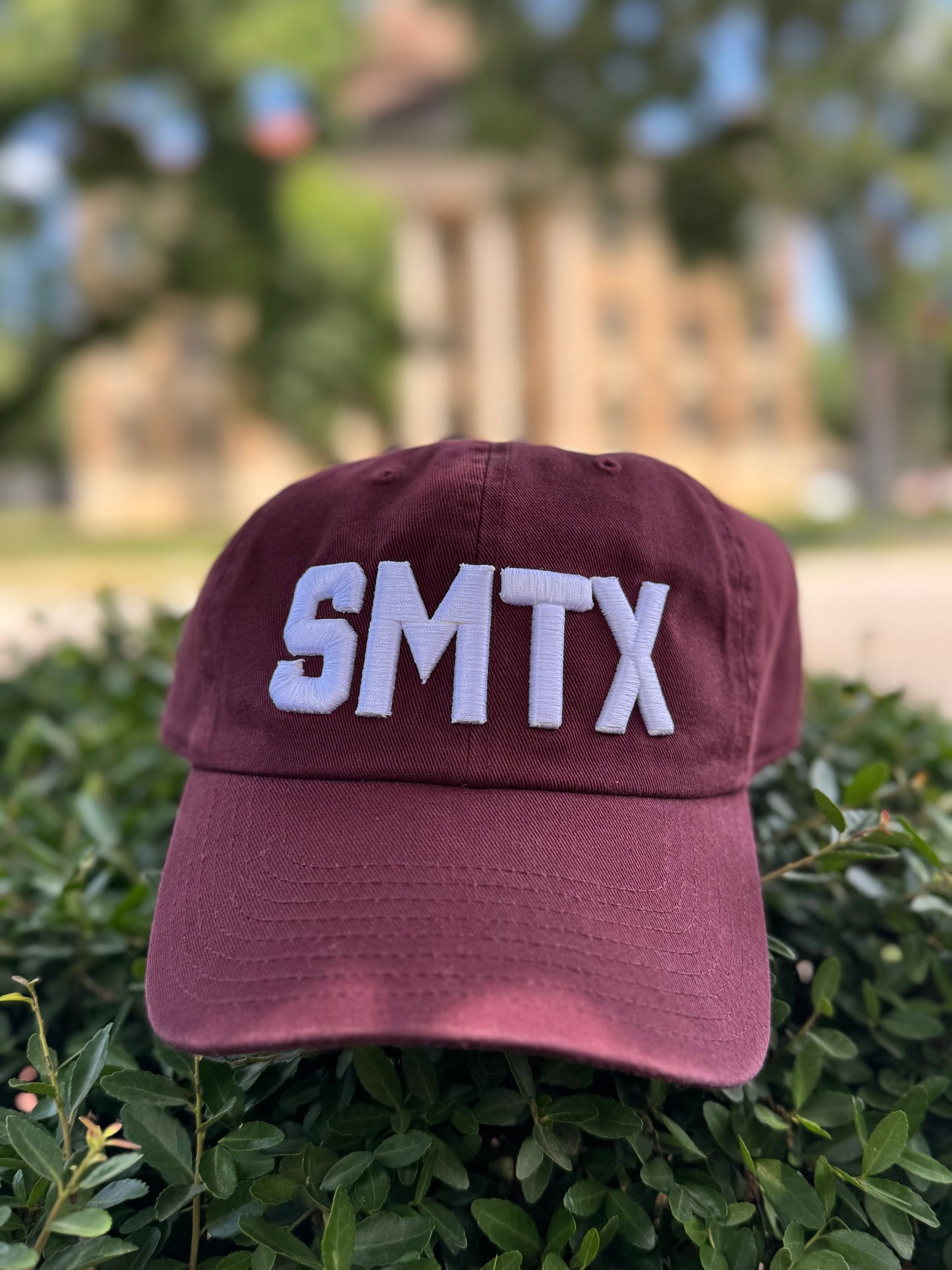 SMTX dad hat