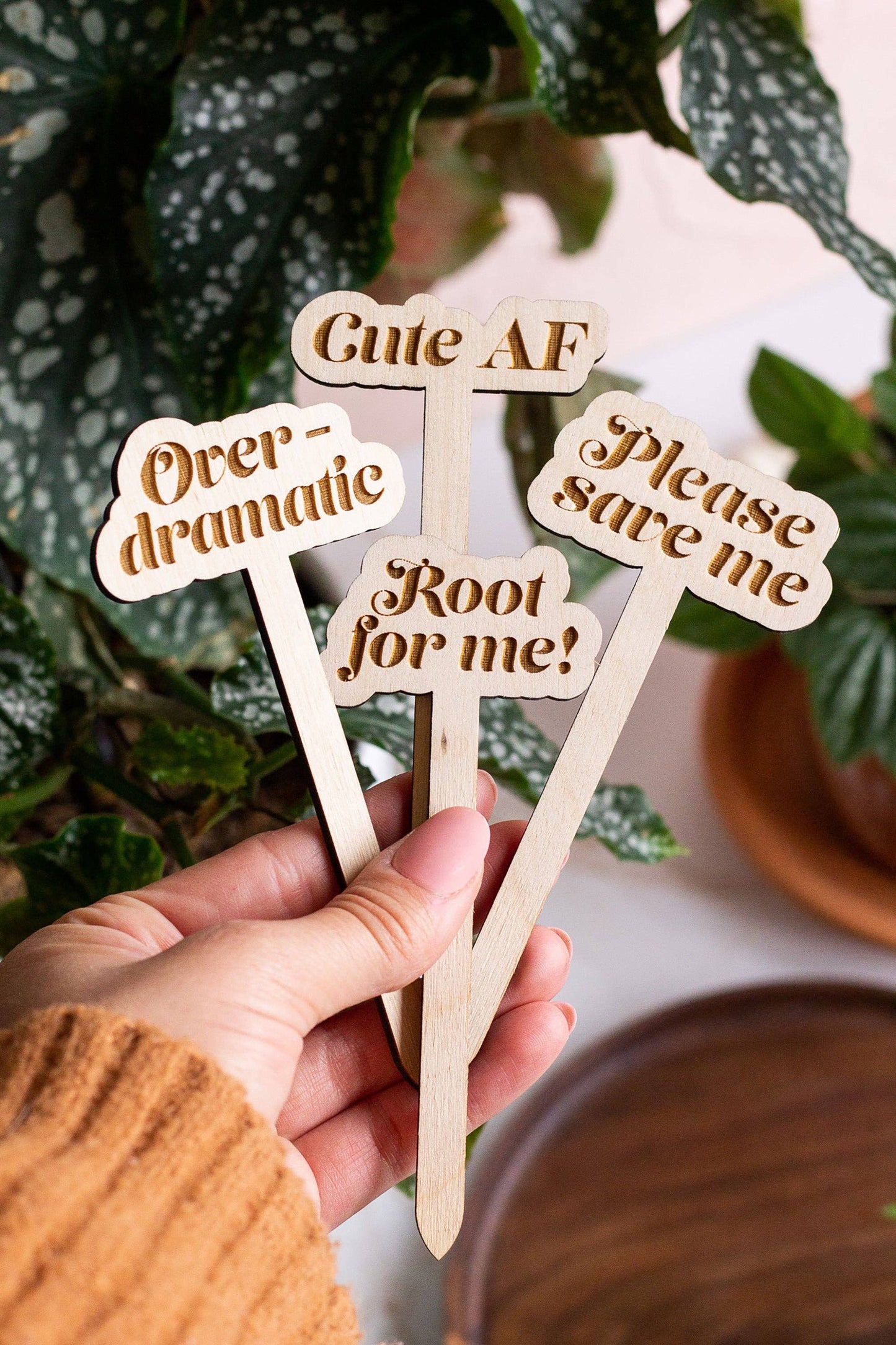 Funny Wooden Plant Markers