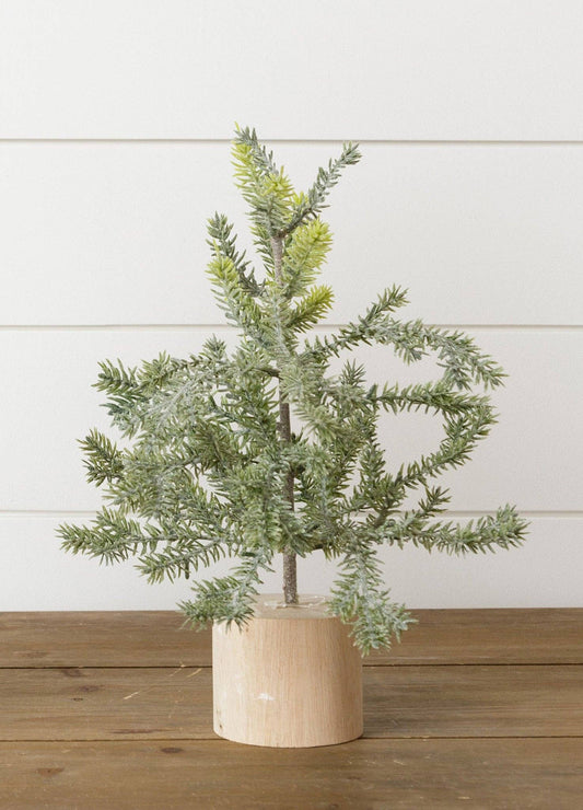 Frosted Pine In Wooden Base, 12 Inches