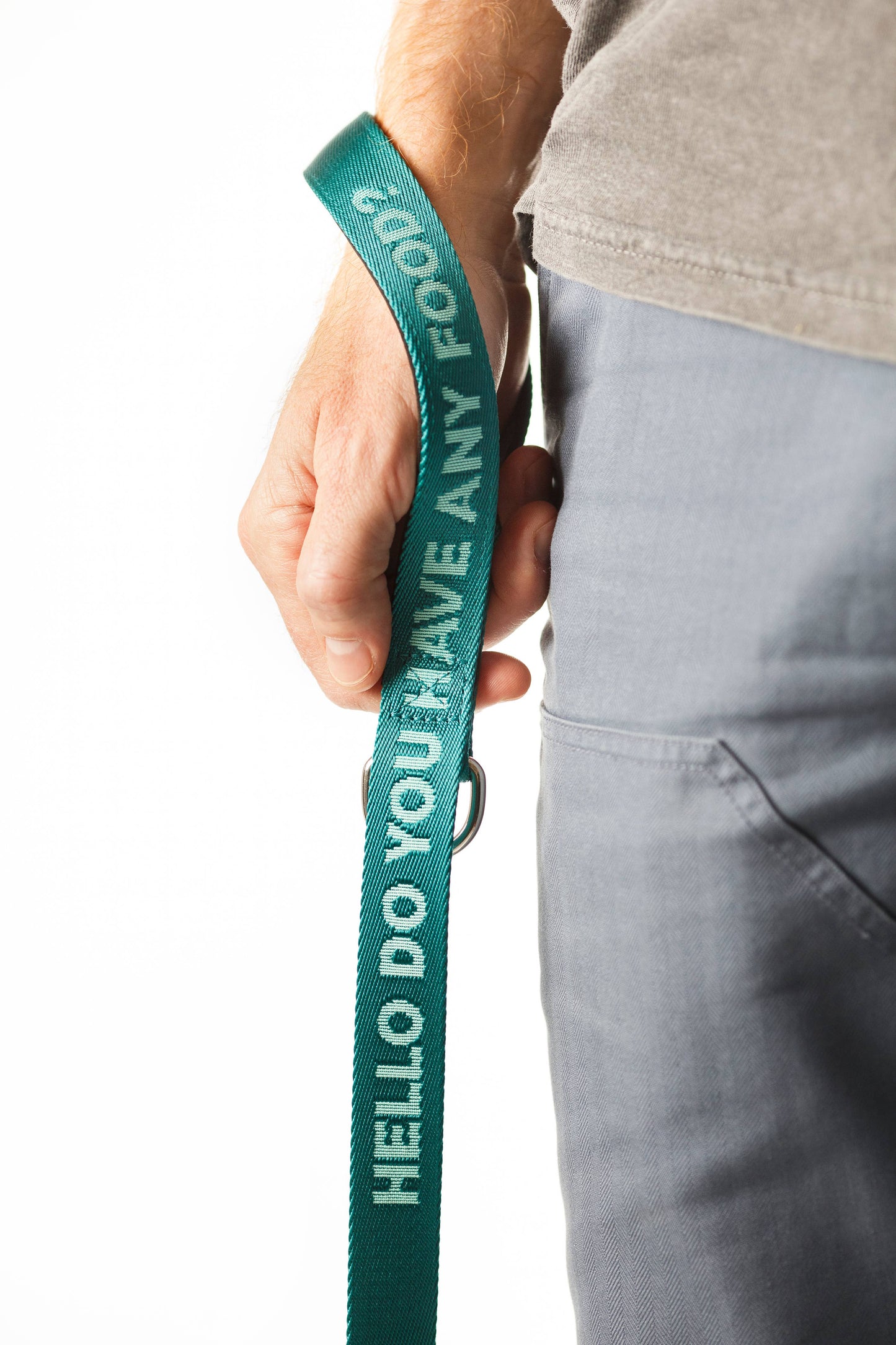 Any Food Teal - Dog Leash