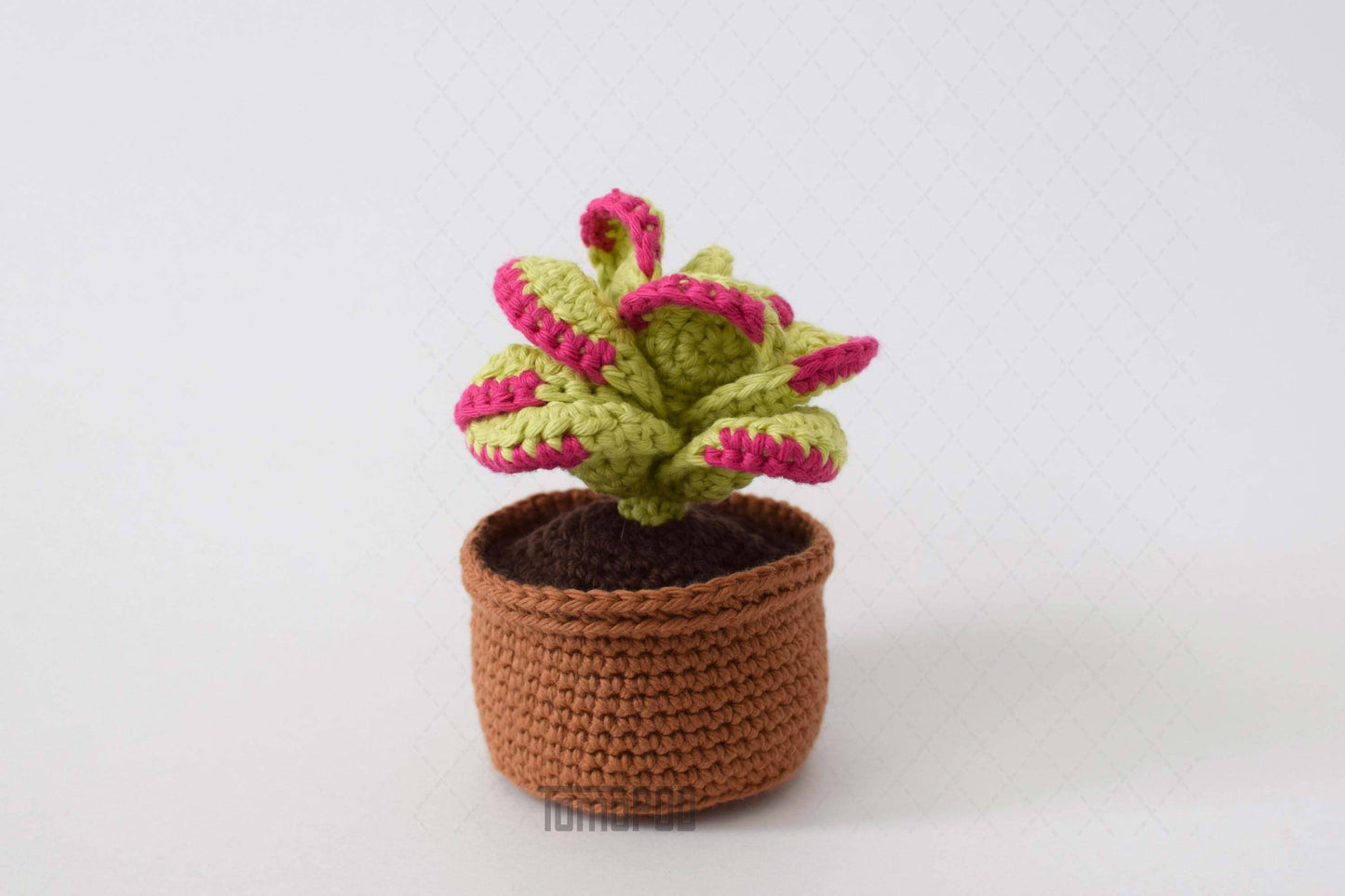 Crochet Flapjack Succulent Plant, Home Office Desk Decor