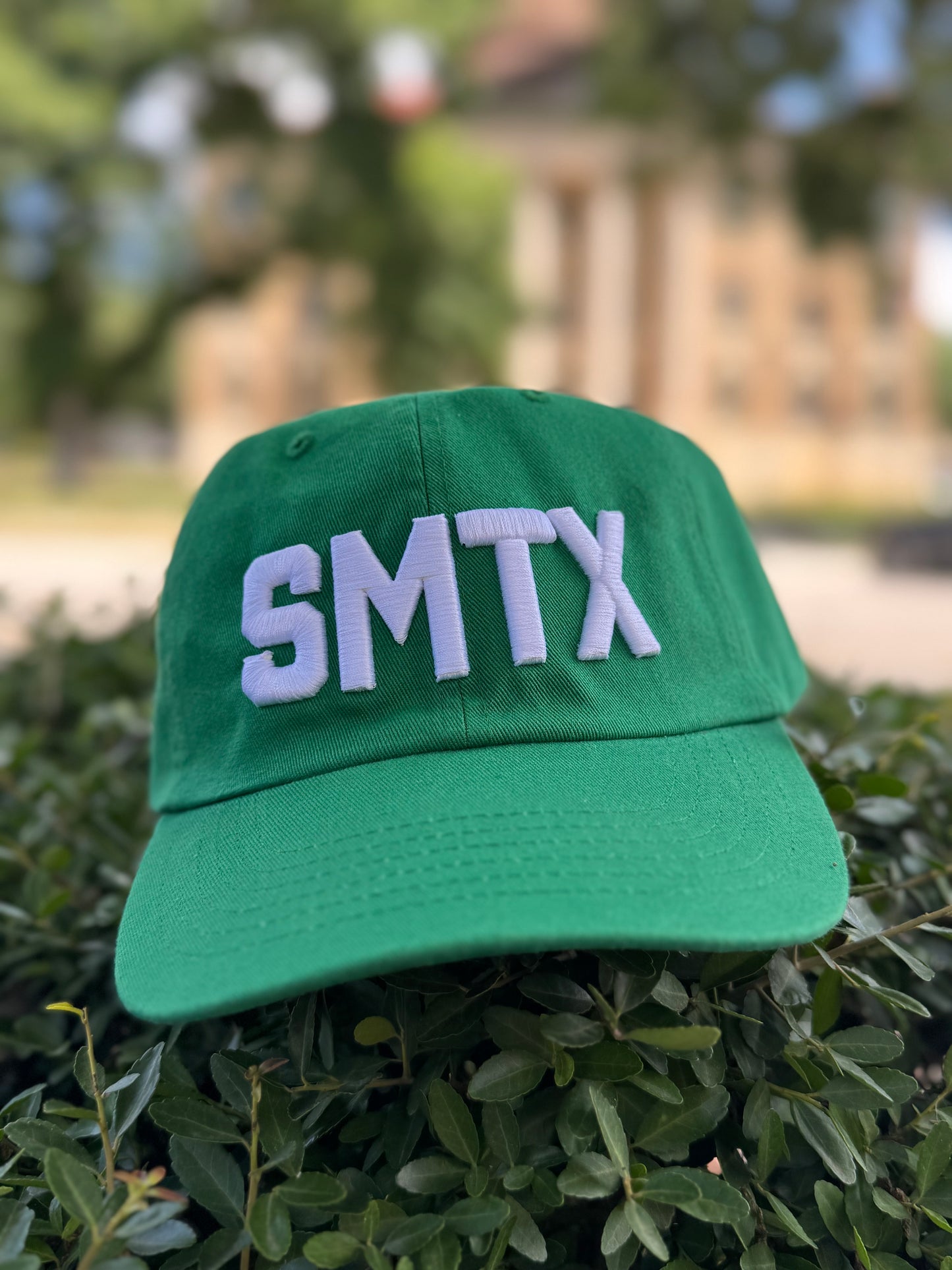 SMTX dad hat