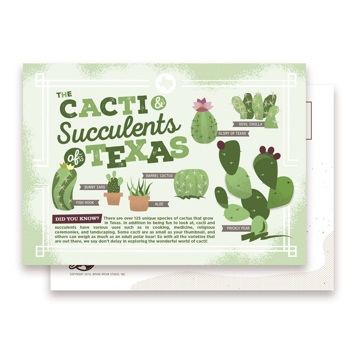 Cacti & Succulents of Texas Postcard