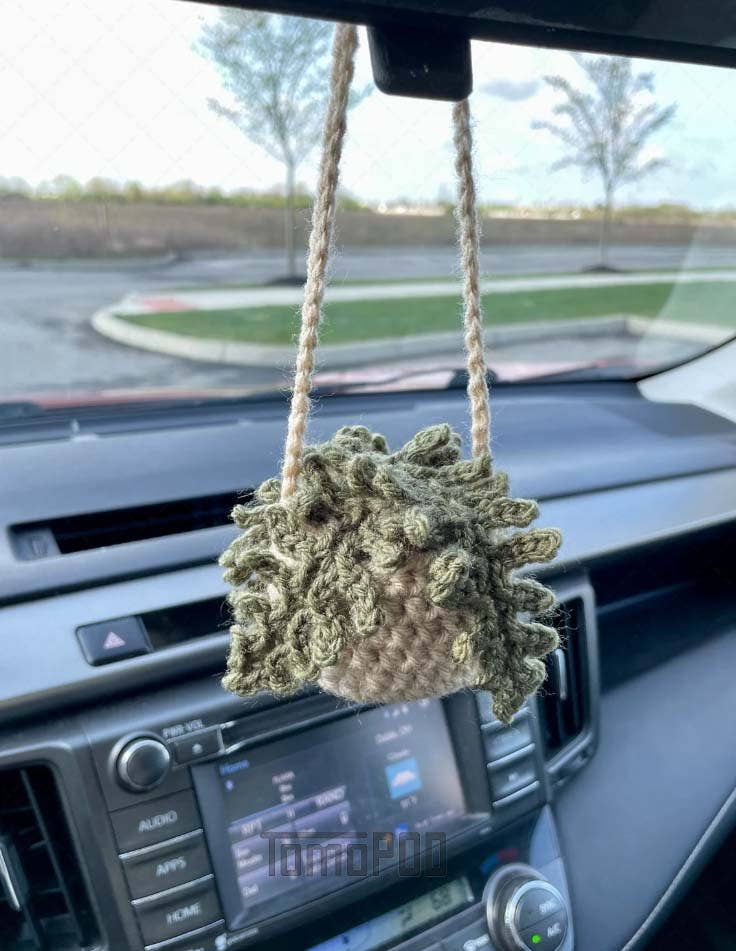 Crochet Succulent Plant Car Hanging Plant Crochet Car Plant