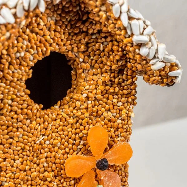 Spring Fruit Cottages - Bird Seed Houses