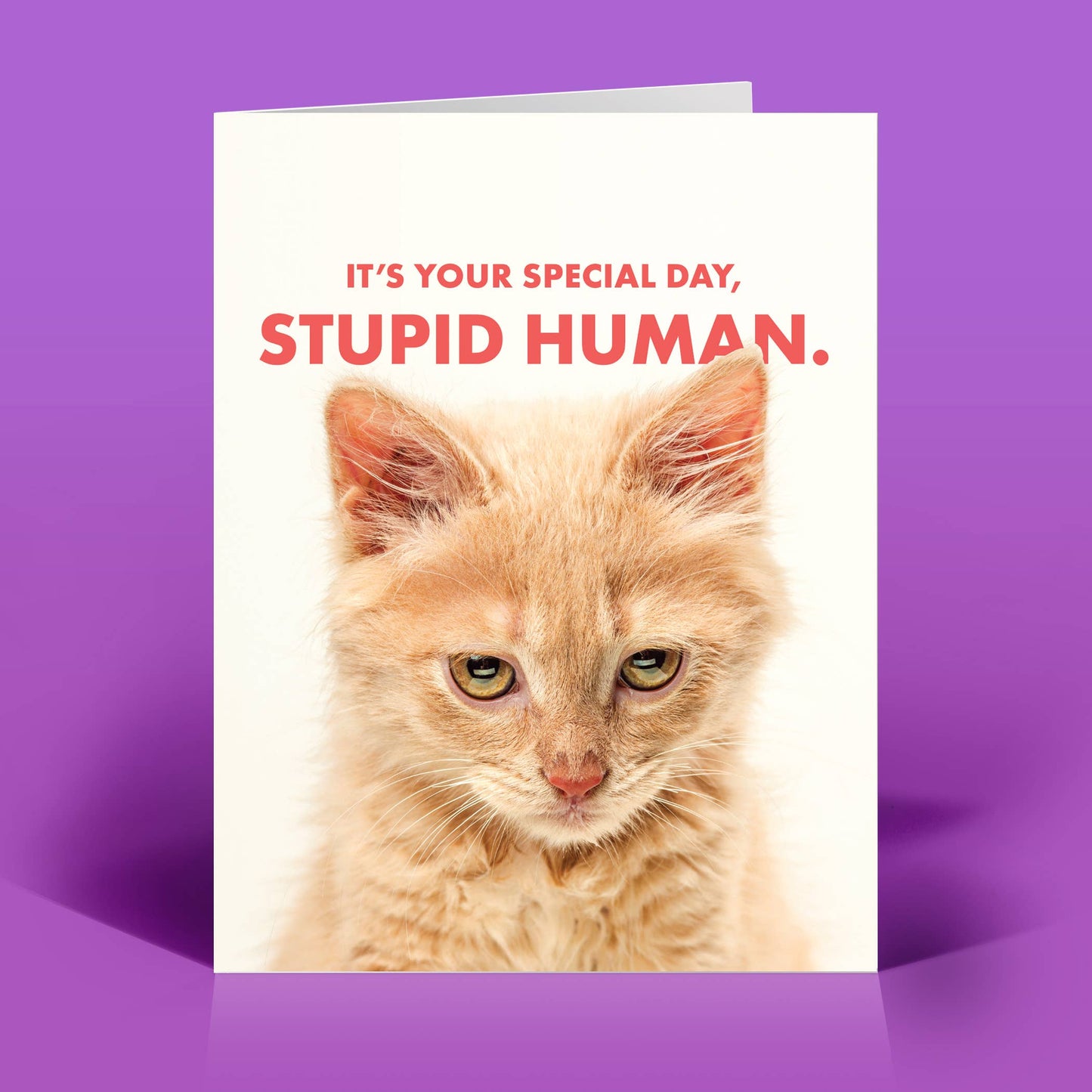 Funny Everyday Card – STUPID HUMAN – Vintage Sassy Humor