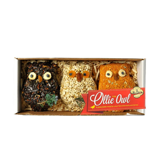 Ollie the Owl Bird Seed