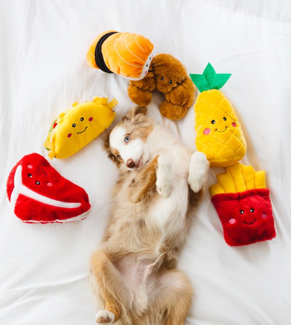 NomNomz® - Taco - Dog Toy