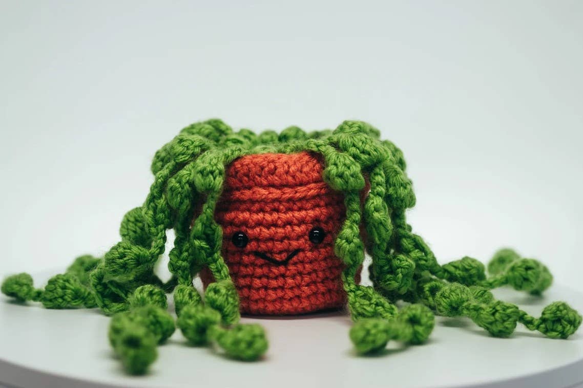 Crochet Hanging String of Pearls Succulent Car Plant Decor