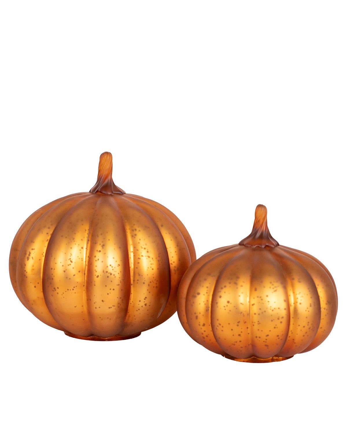 Dylan Pumpkin   Copper   6x6