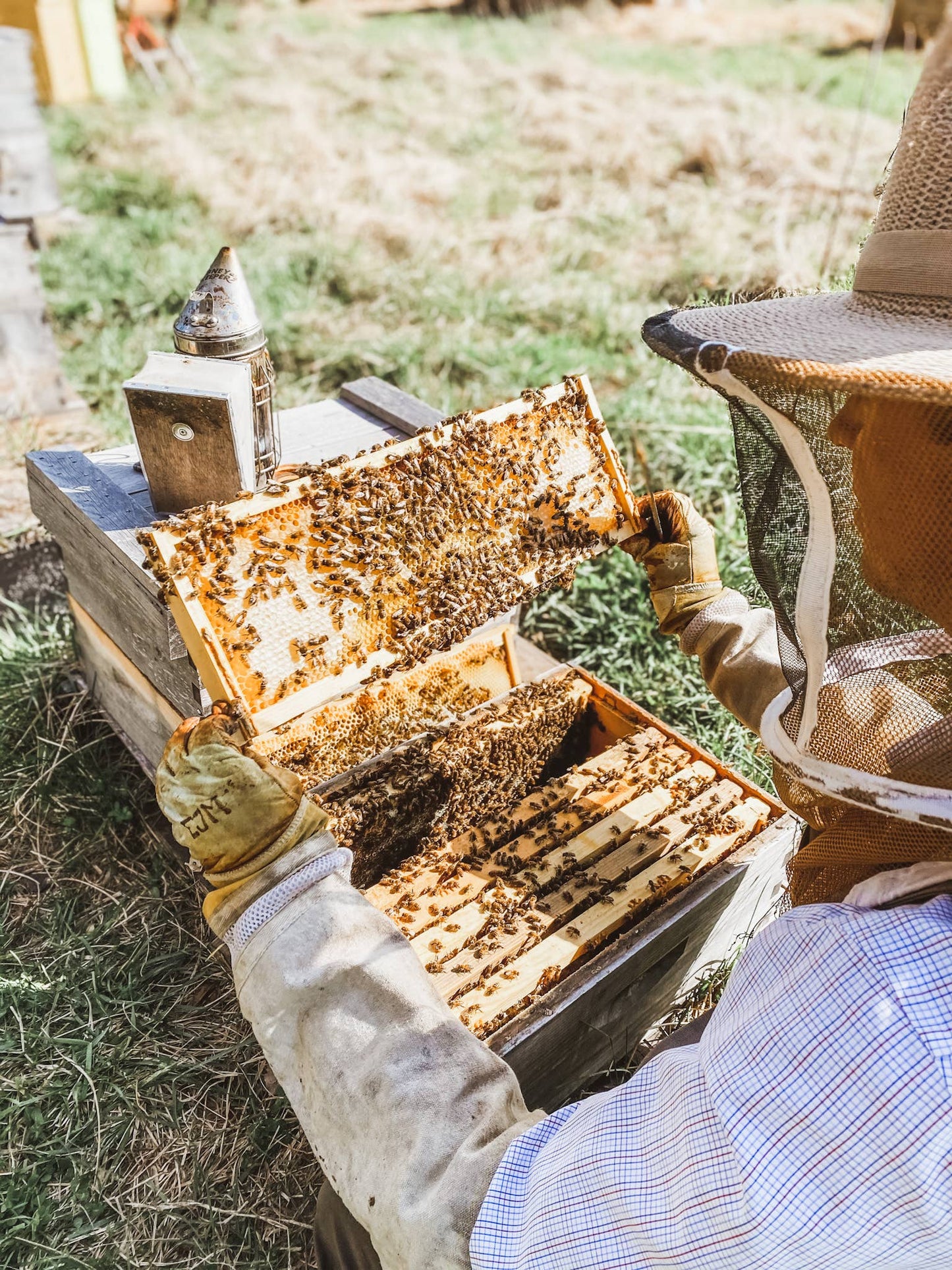 Plain and Simple - Milk and Honey Lotion - 2oz Travel