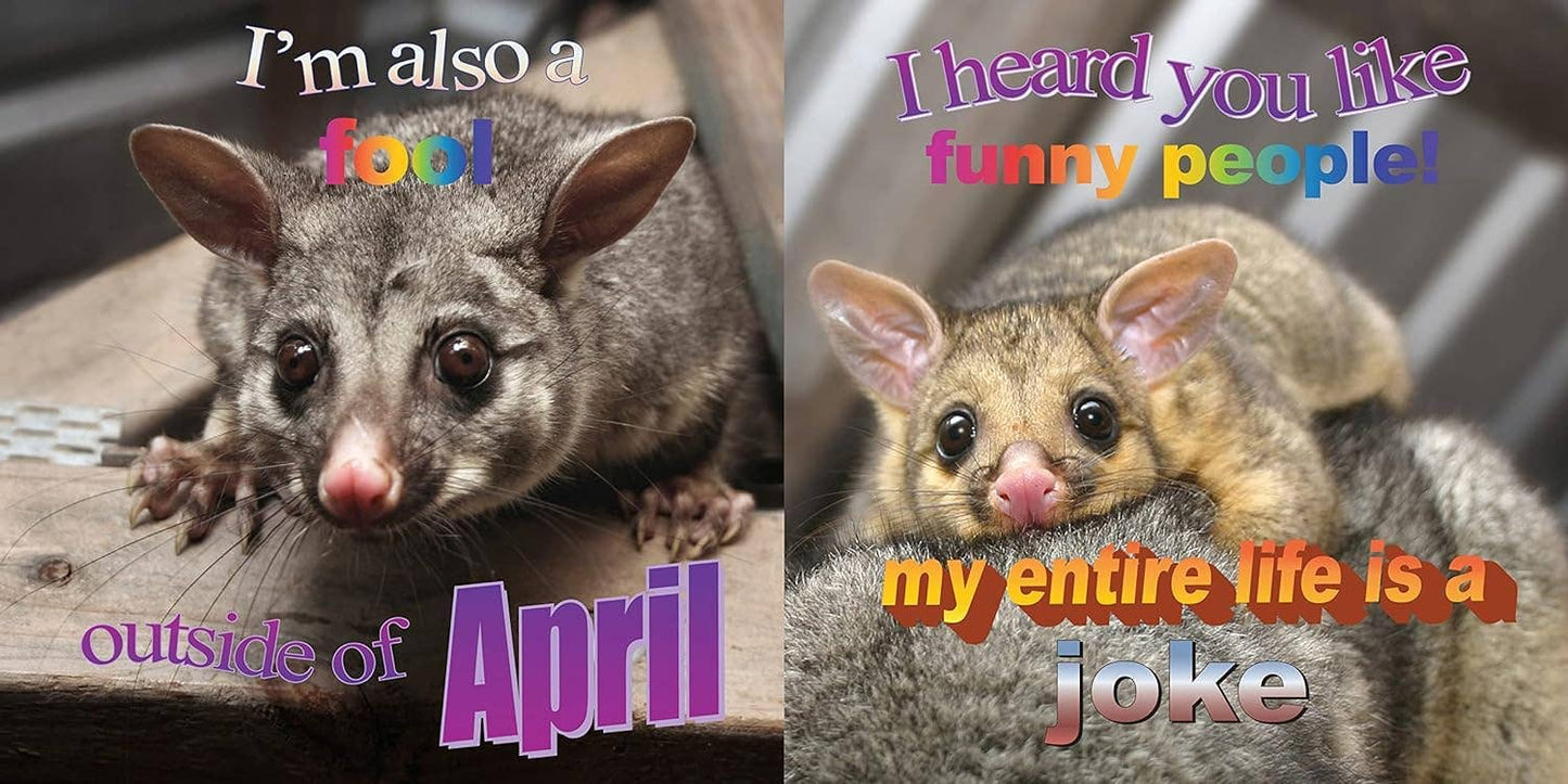 No Thoughts Just Possums Meme Photo Book by Sylvie