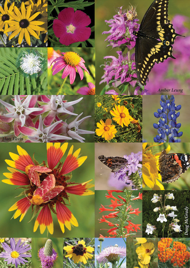 Butterfly Retreat Mix 3.7 oz bag