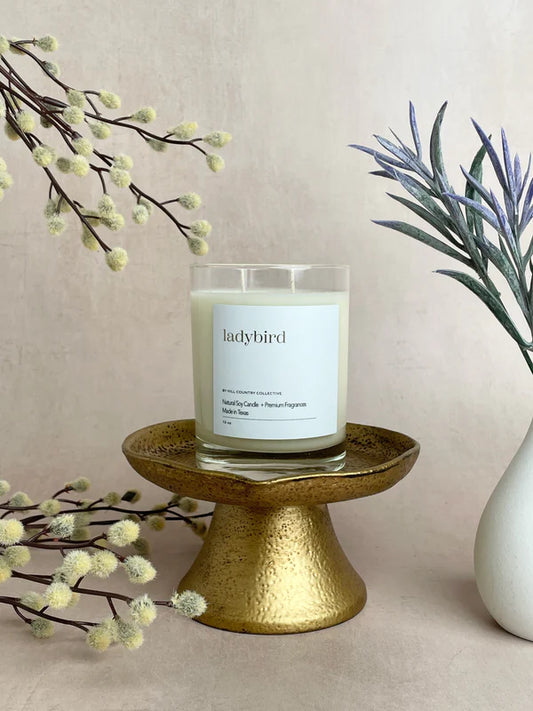 Ladybird Soy Candle