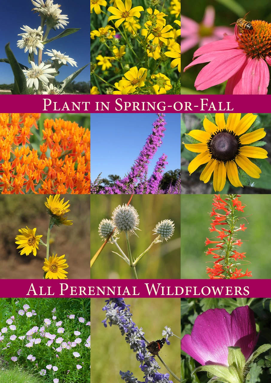 Plant in Spring-or-Fall 3.2 oz bag