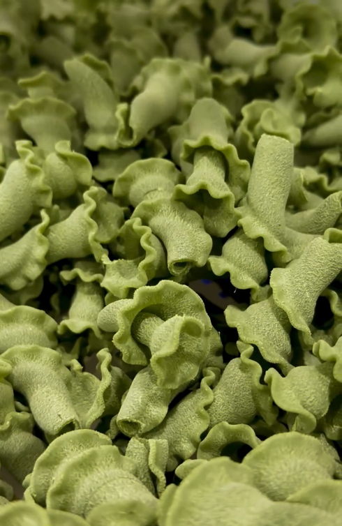 Spinach & Leek Campanelle - Madd Pasta