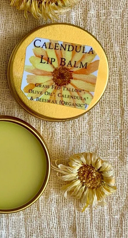 Tallow Calendula Lip Balm