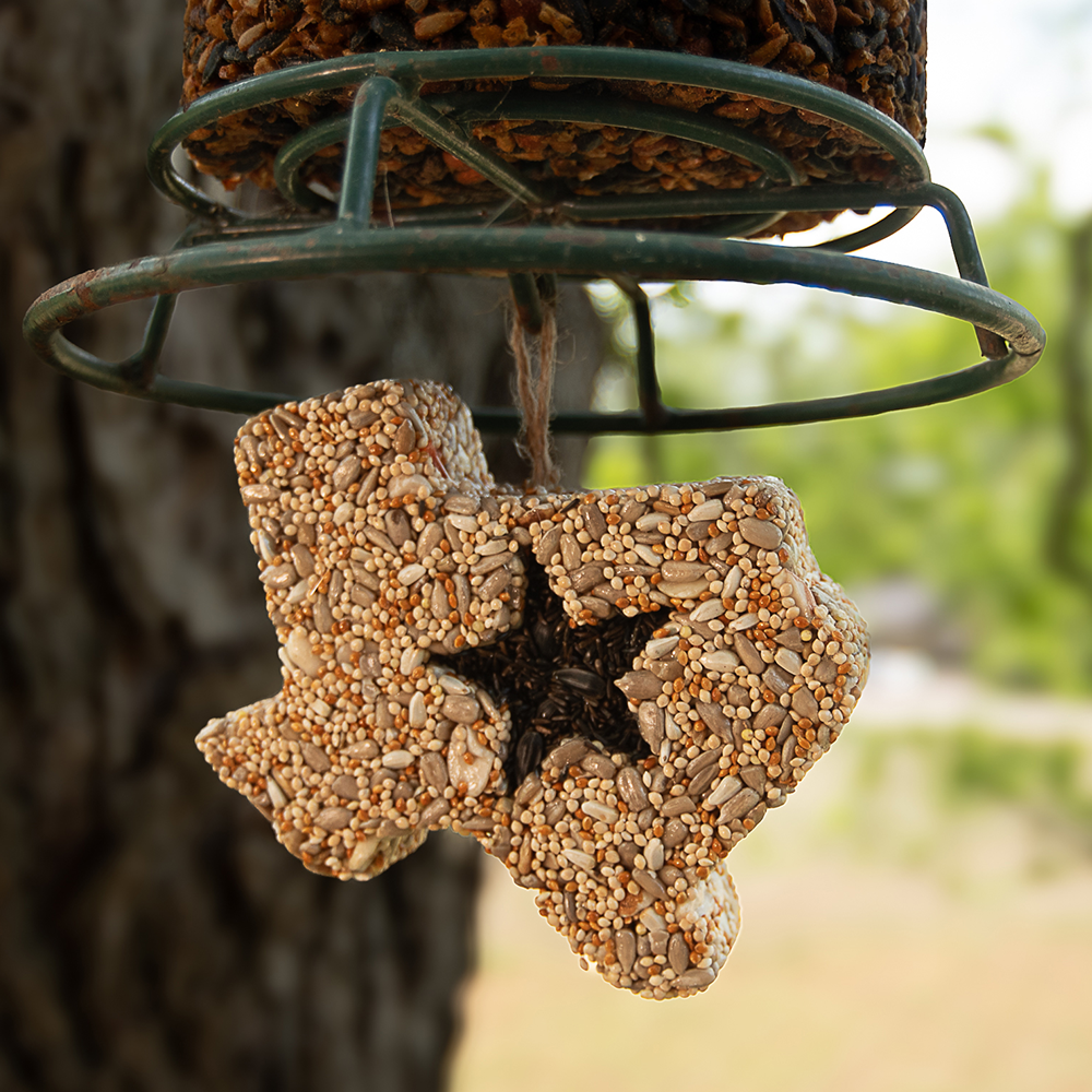 Lone Star Bird Seed Treat