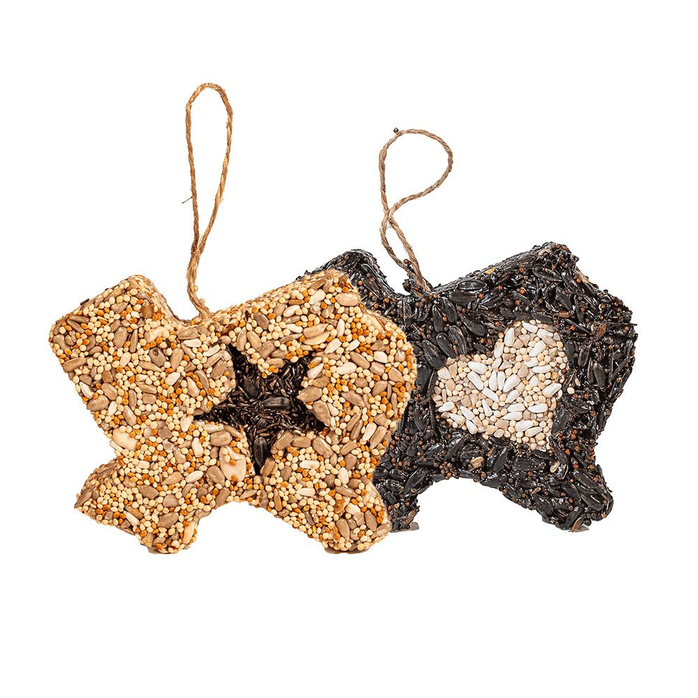 Lone Star Bird Seed Treat
