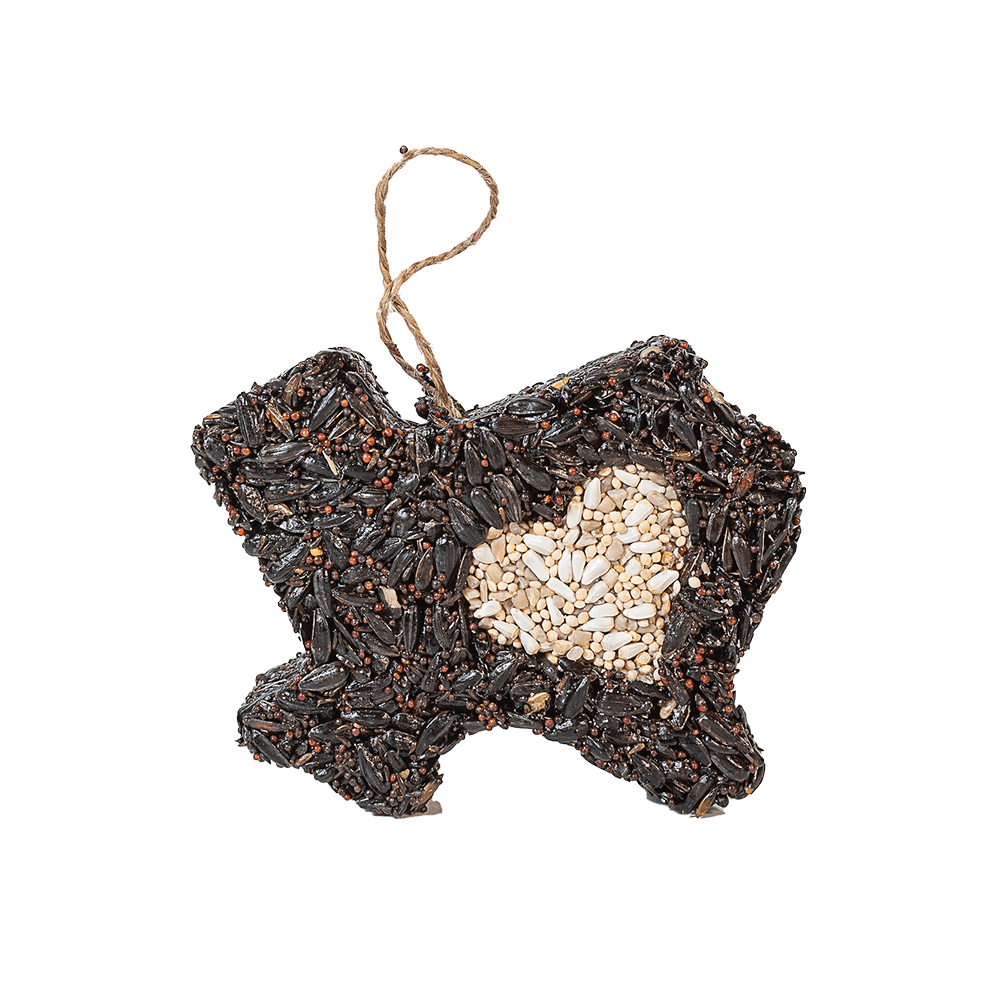 Lone Star Bird Seed Treat