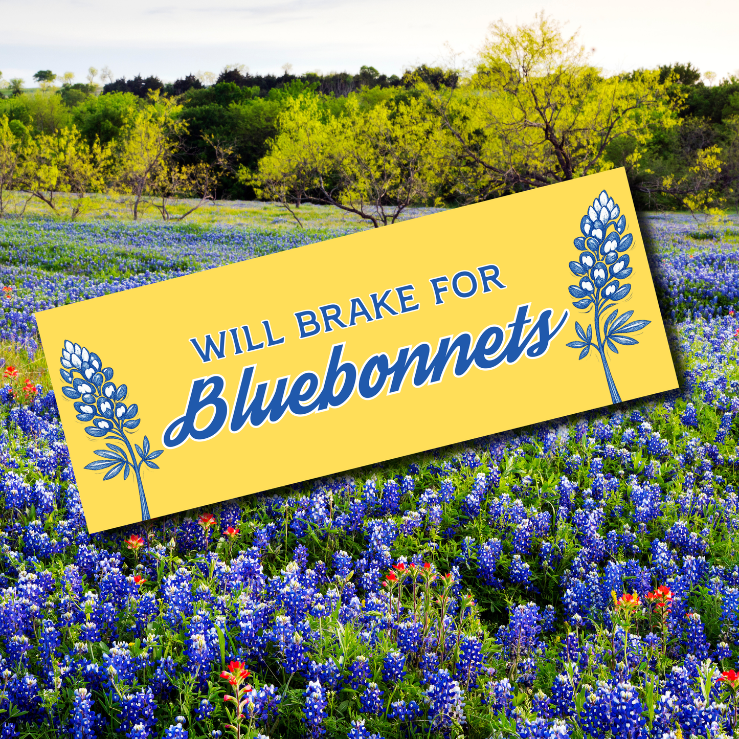 Will Stop For Bluebonnets bumper sticker