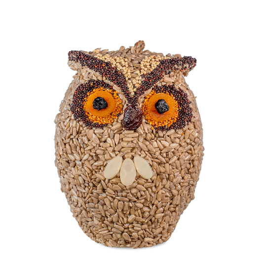 Whoo-lio Owl
