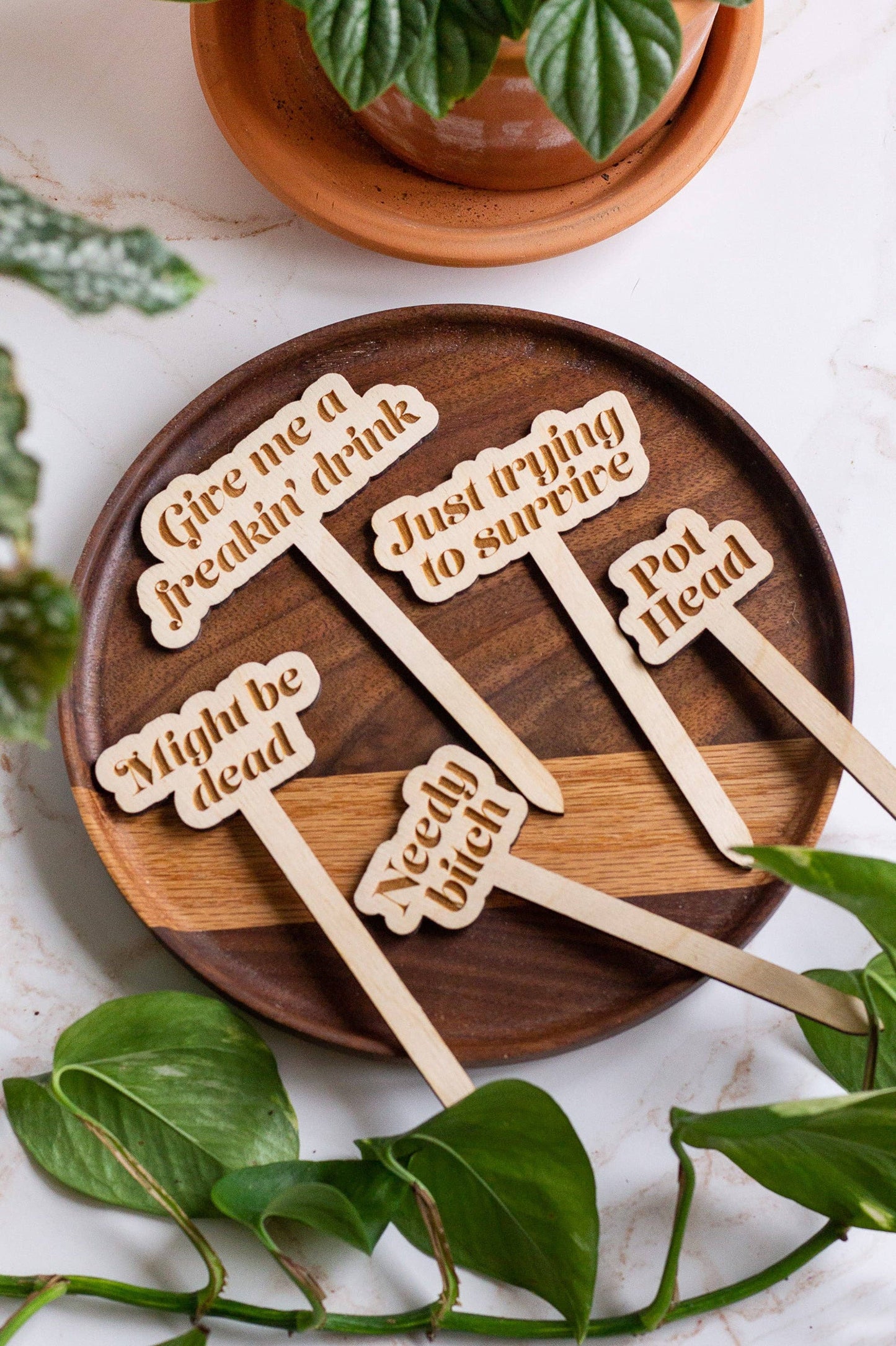 Funny Wooden Plant Markers