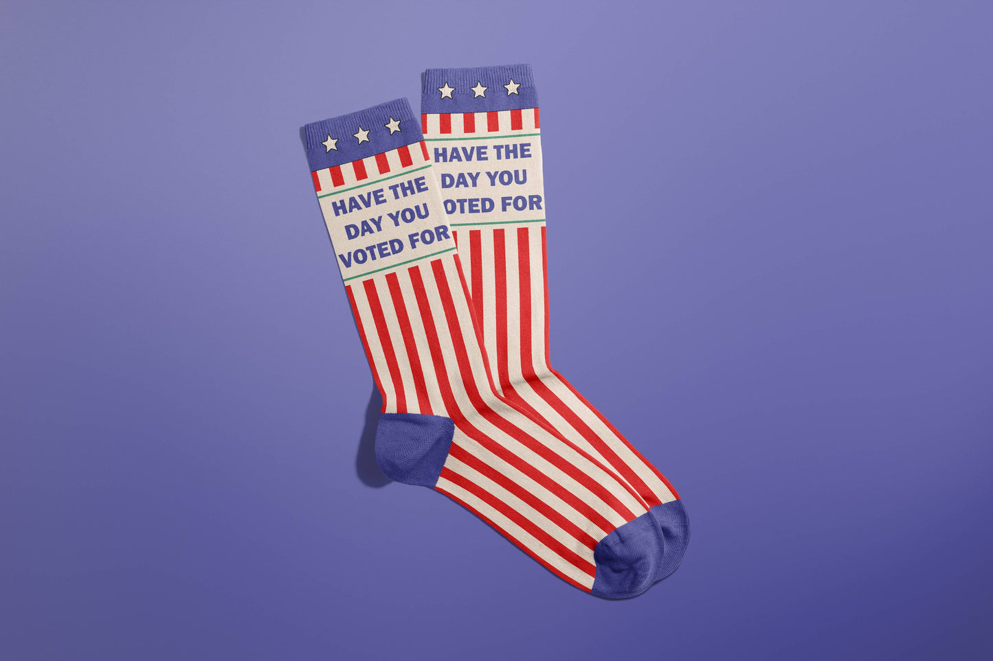 Have The Day You Voted For Socks (funny socks