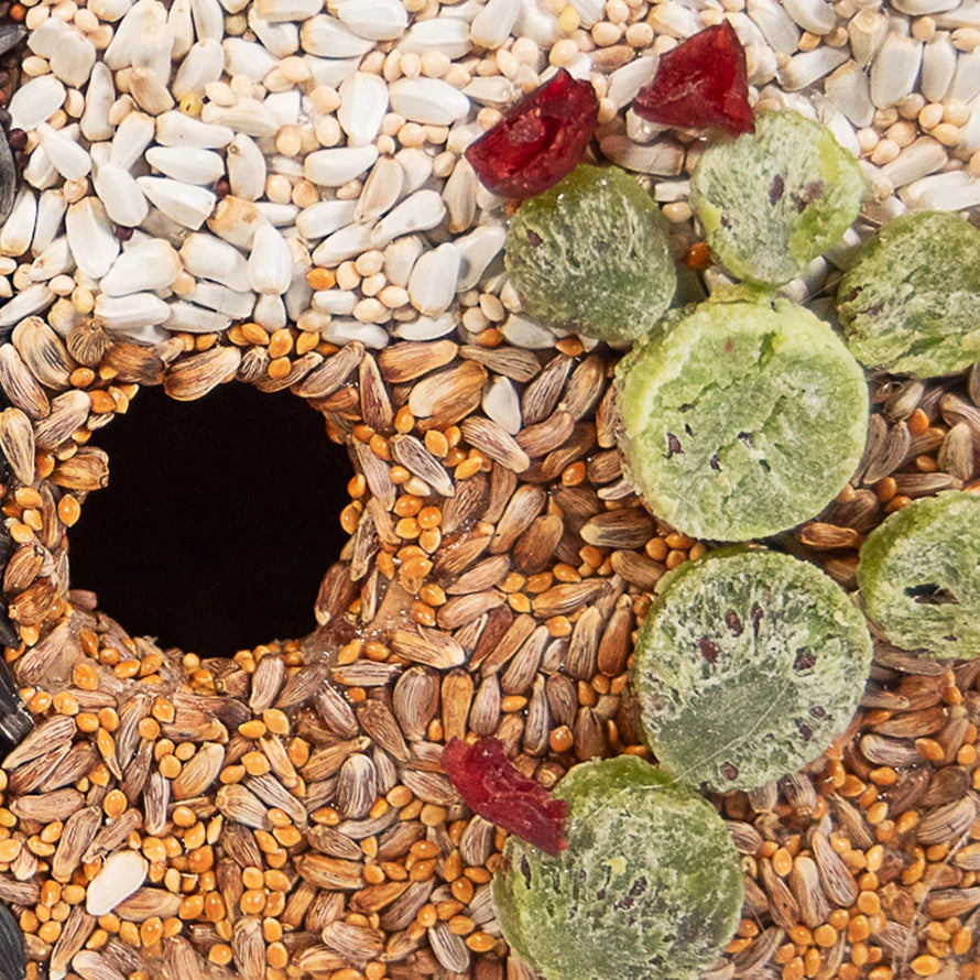 Bird Seed House - Heart of Texas