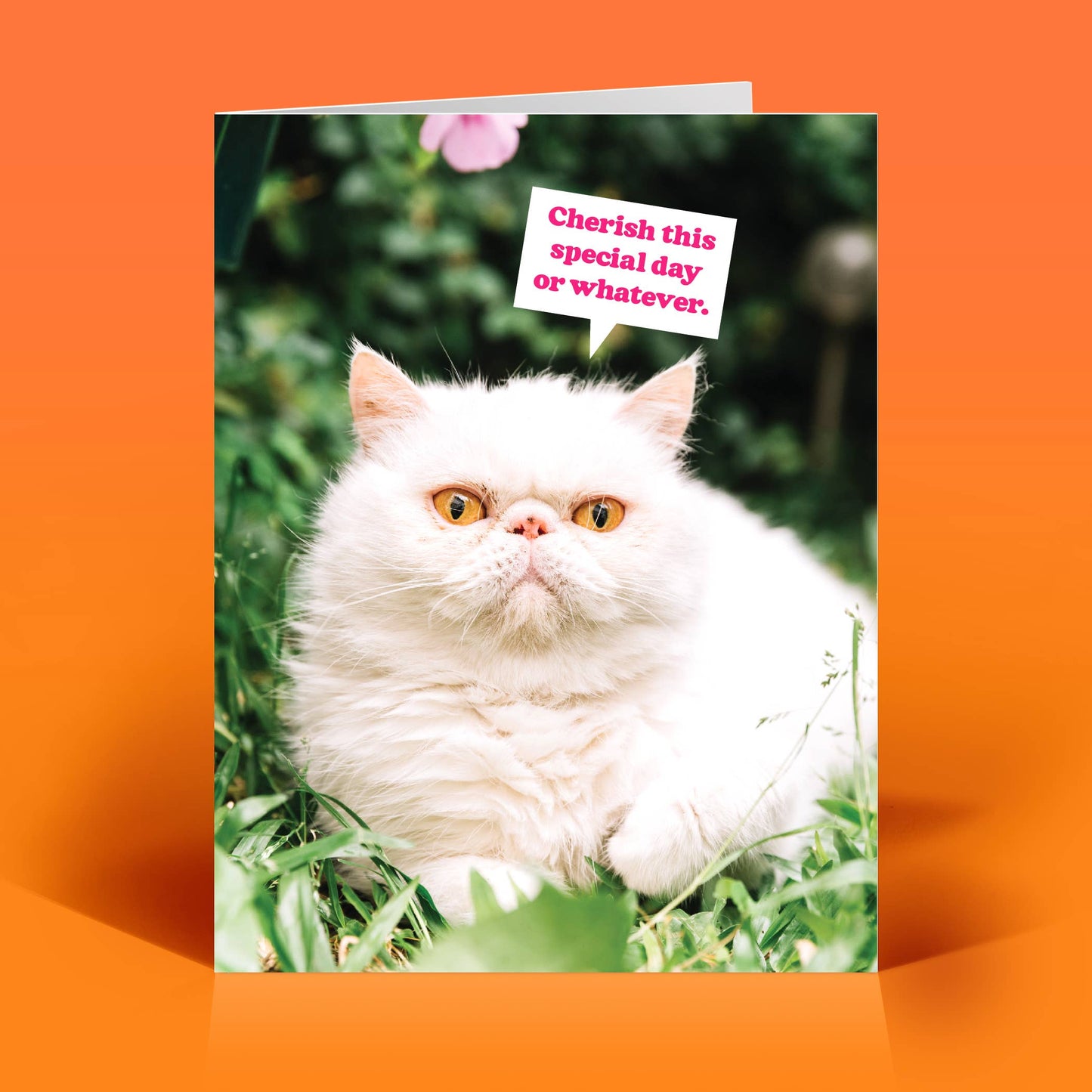 Funny Birthday Card – CHERISH THIS DAY – Retro Humor