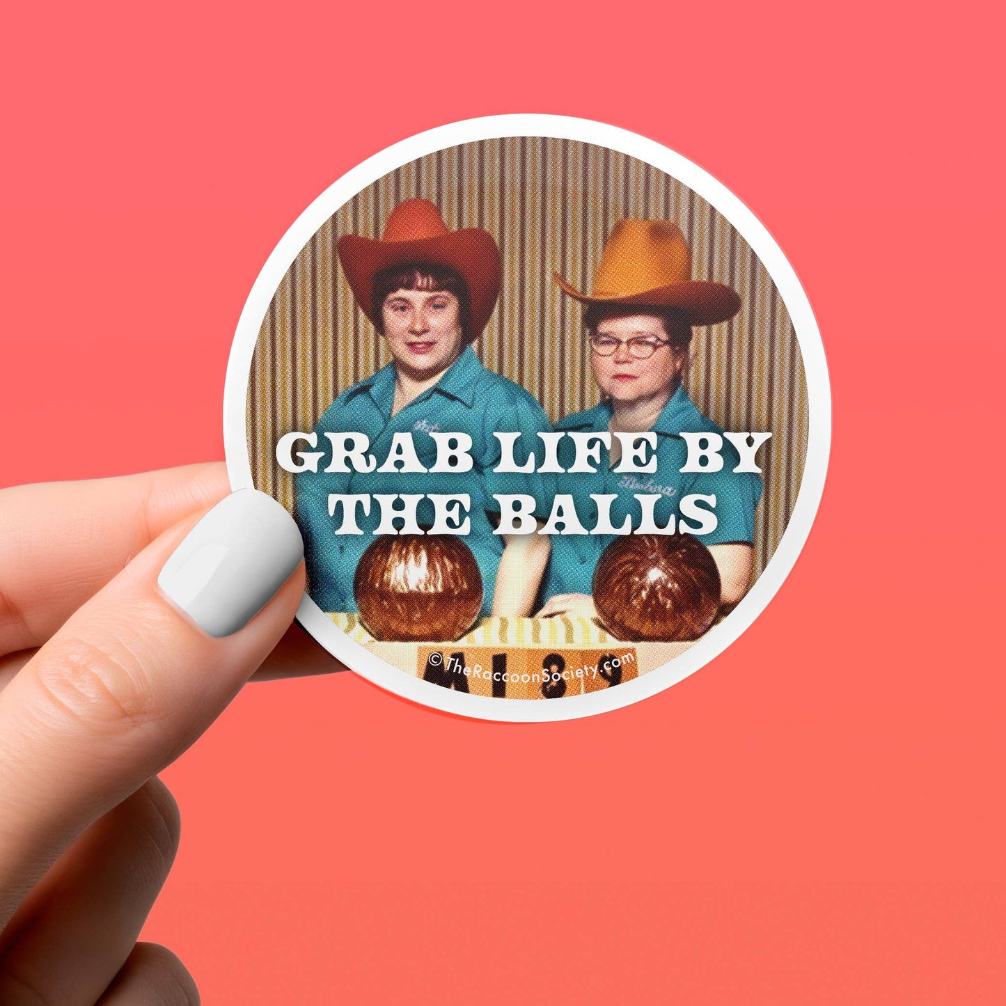 Funny Sticker - GRAB LIFE - Vintage Humor