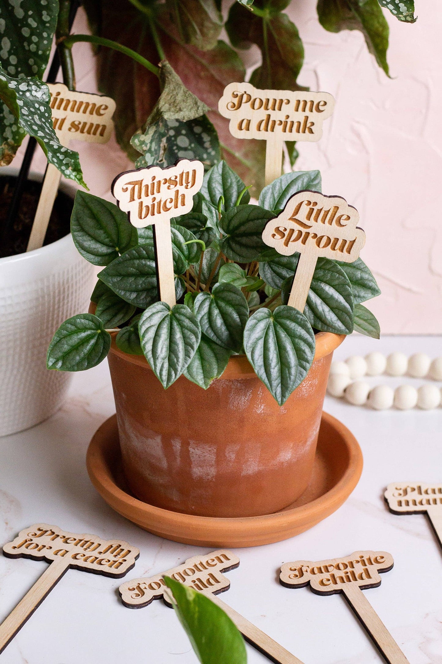 Funny Wooden Plant Markers