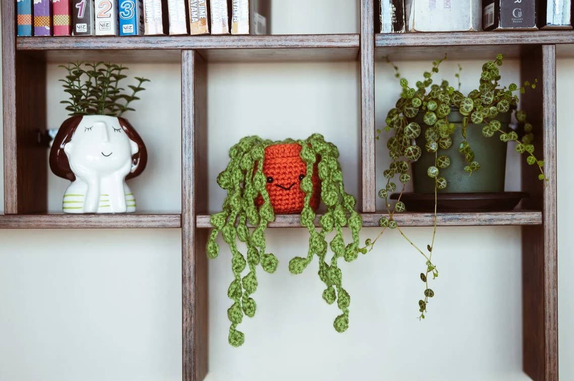 Crochet Hanging String of Pearls Succulent Car Plant Decor