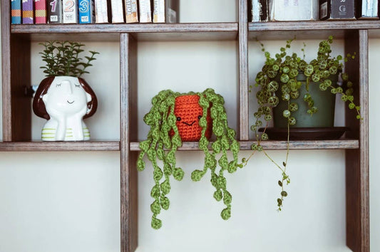 Crochet Hanging String of Pearls Succulent Car Plant Decor