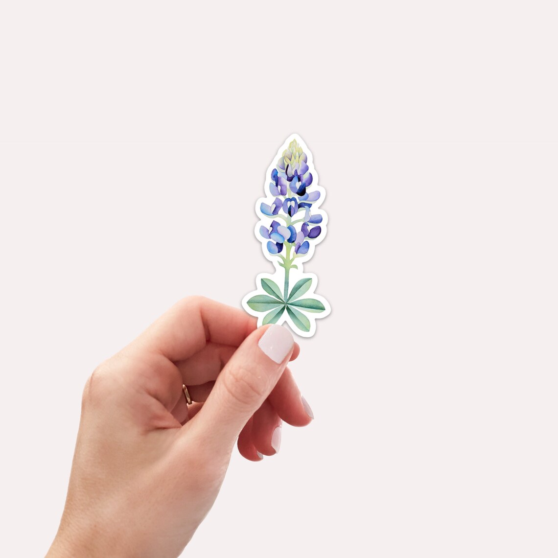 Bluebonnet Sticker