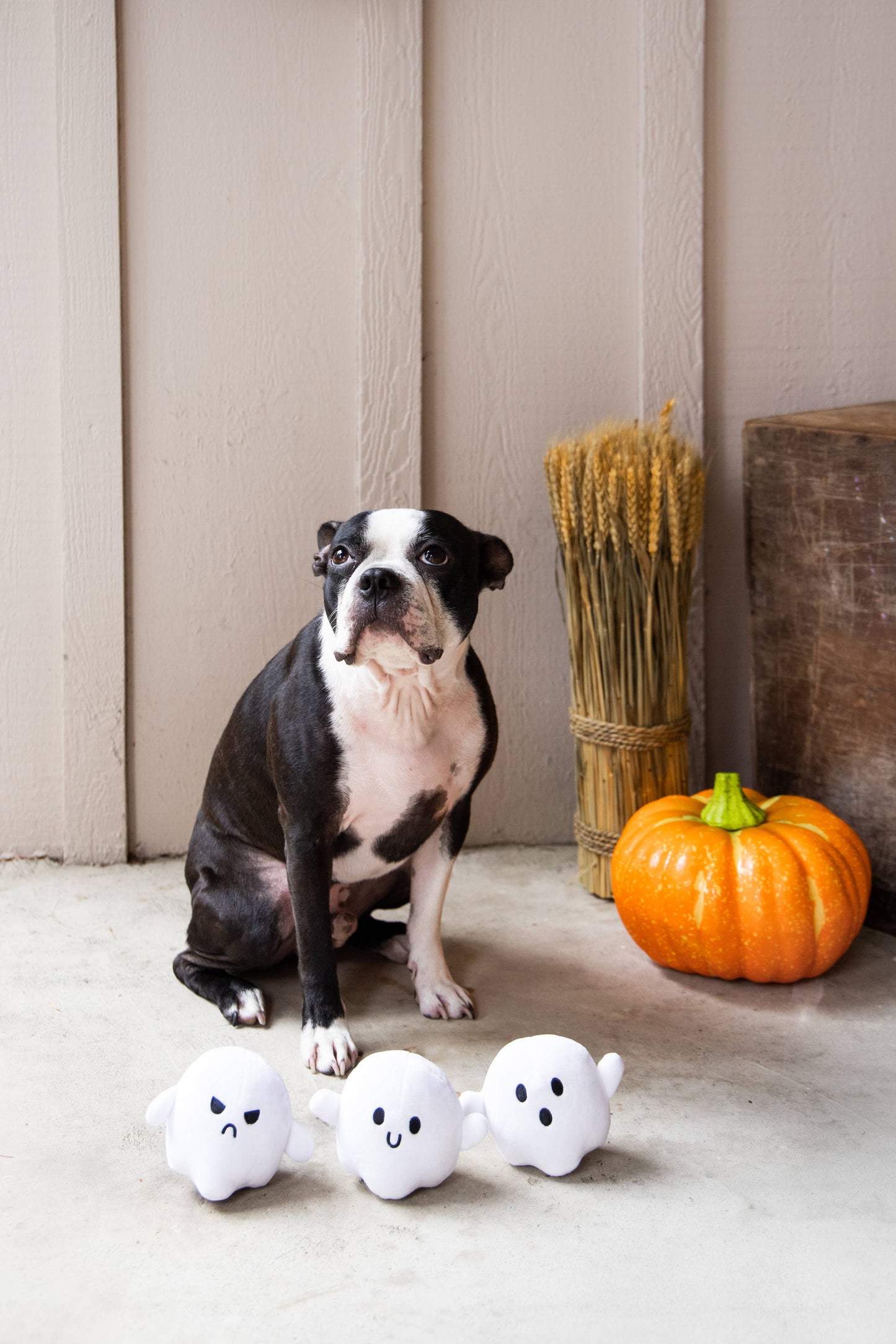 Halloween Ghosts Dog Toys, Set of 3