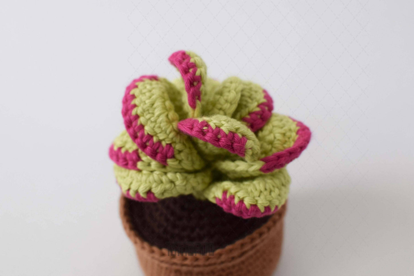 Crochet Flapjack Succulent Plant, Home Office Desk Decor