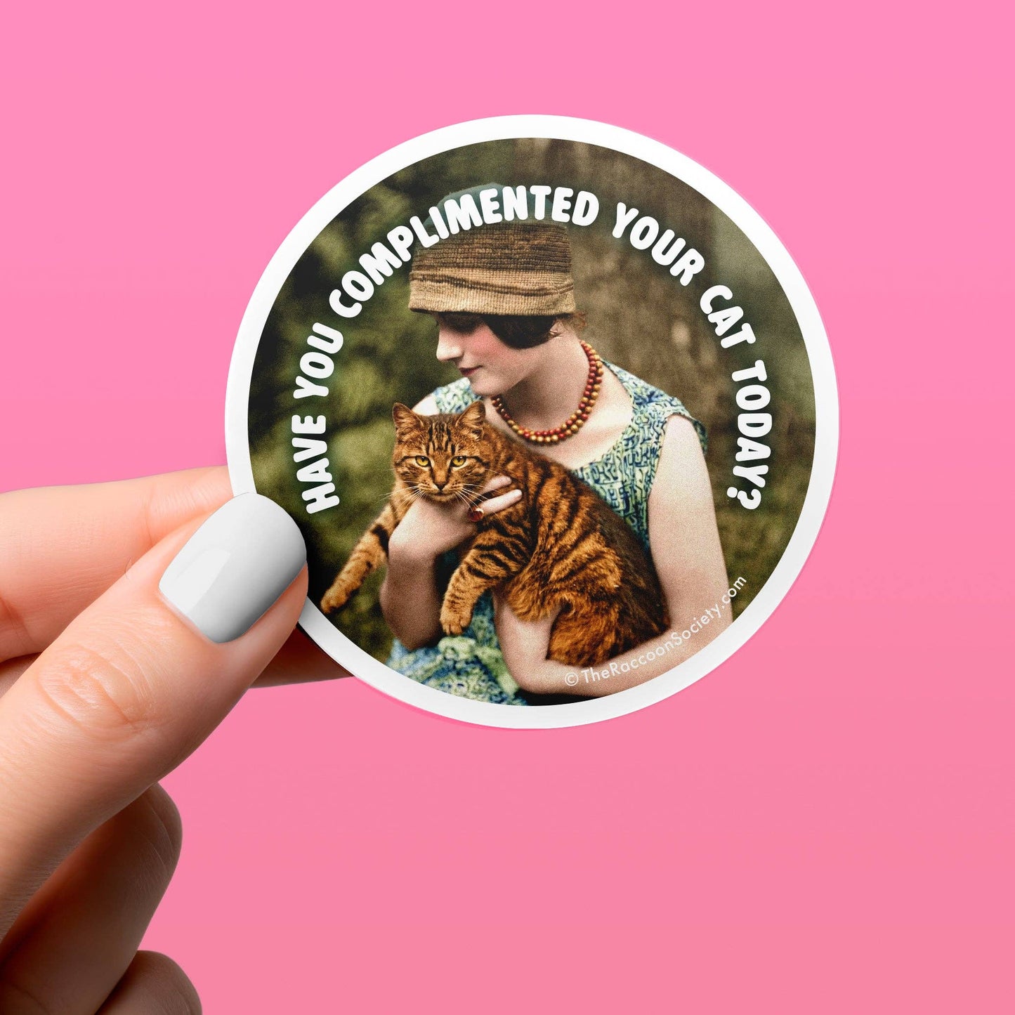 Funny Sticker - COMPLIMENT YOUR CAT