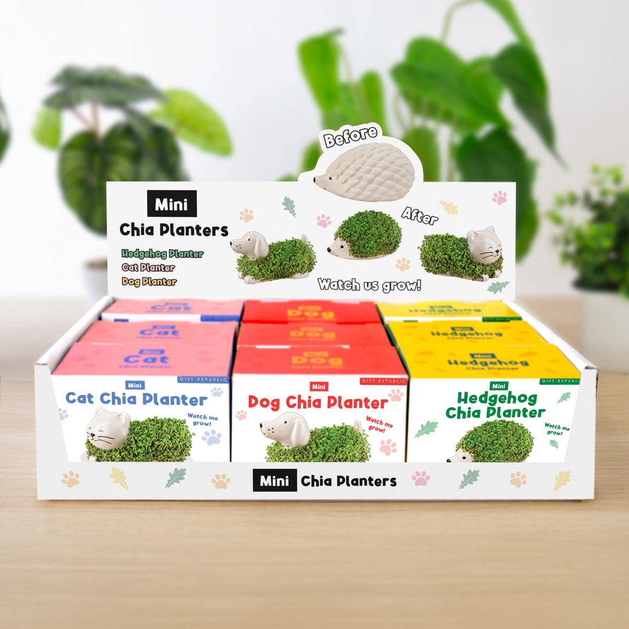 Chia Mini Planter USA