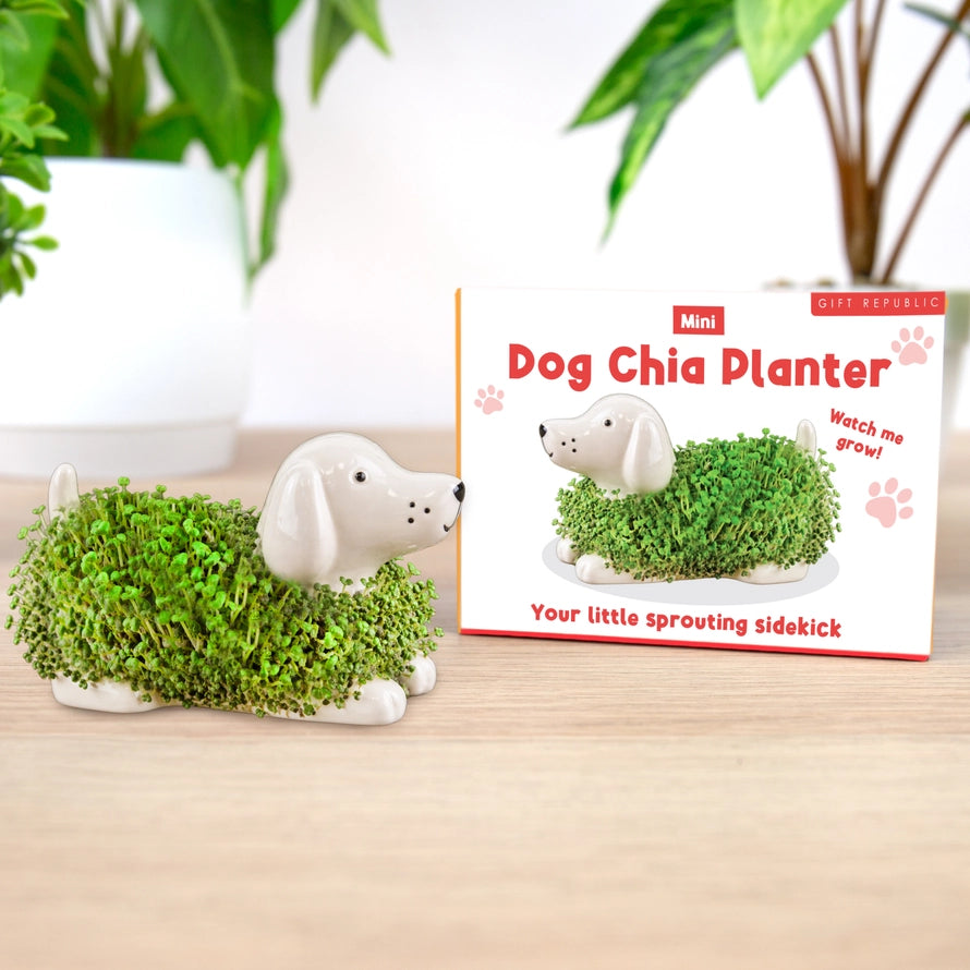 Chia Mini Planter USA