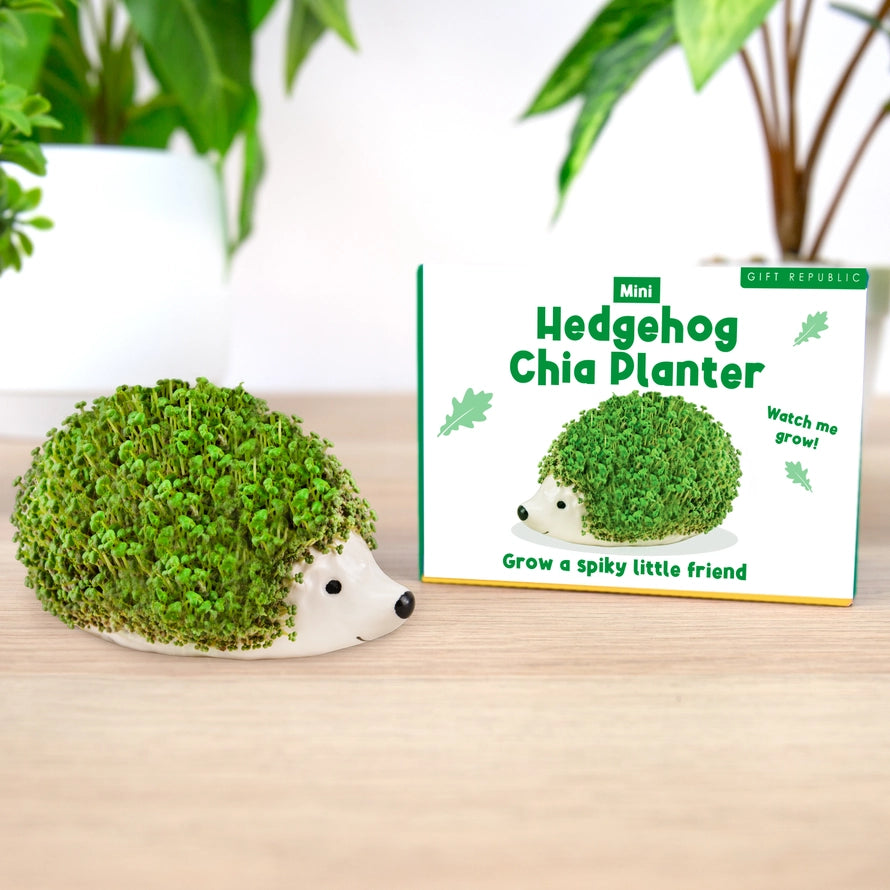 Chia Mini Planter USA