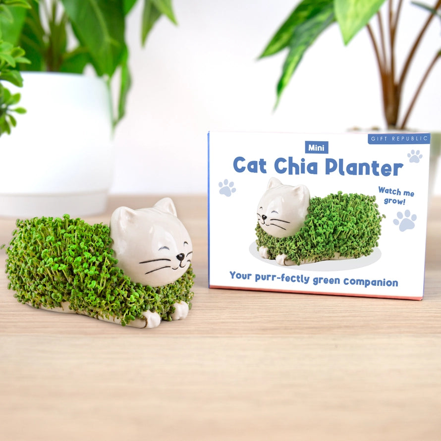 Chia Mini Planter USA