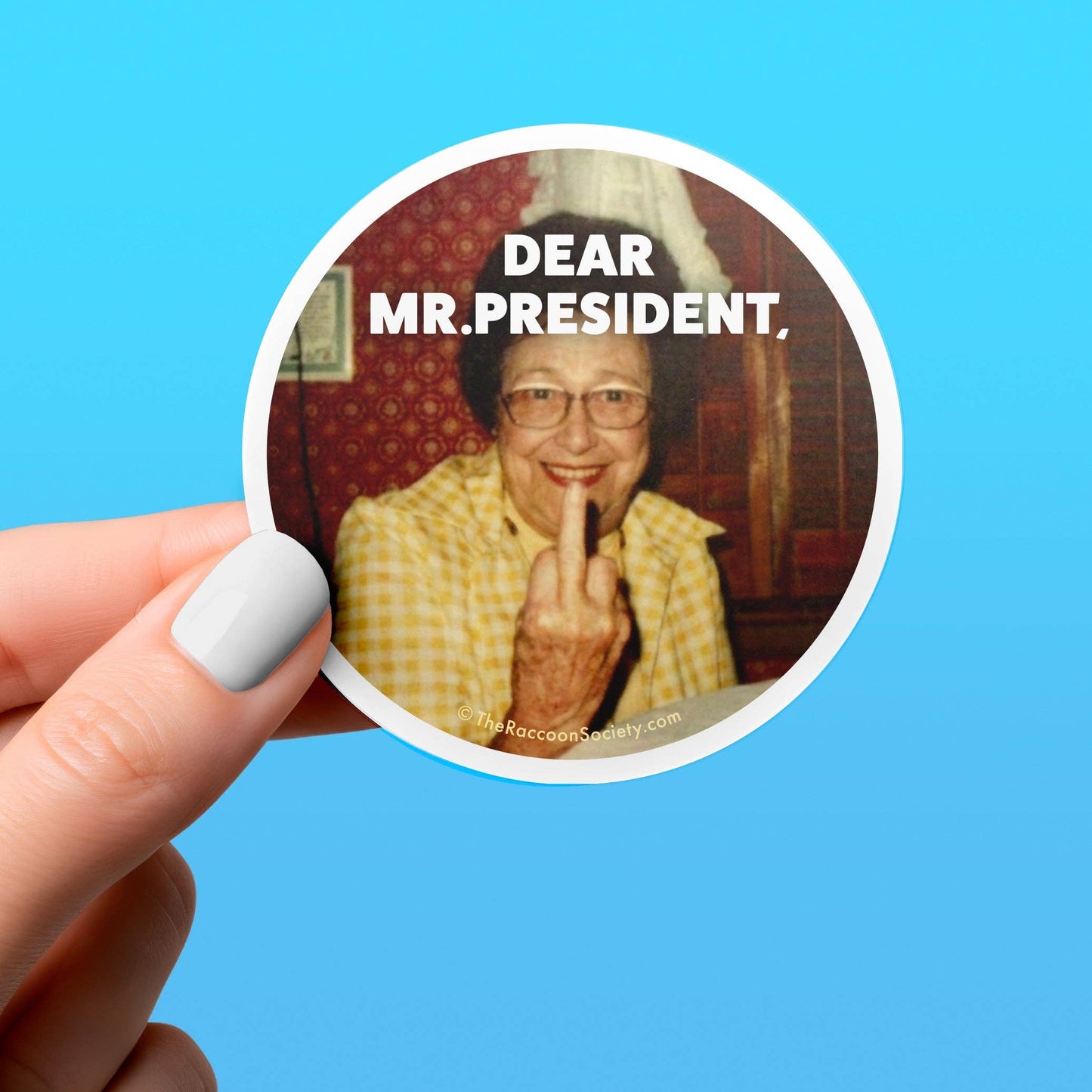 Funny Sticker - DEAR MR. PRESIDENT - Political