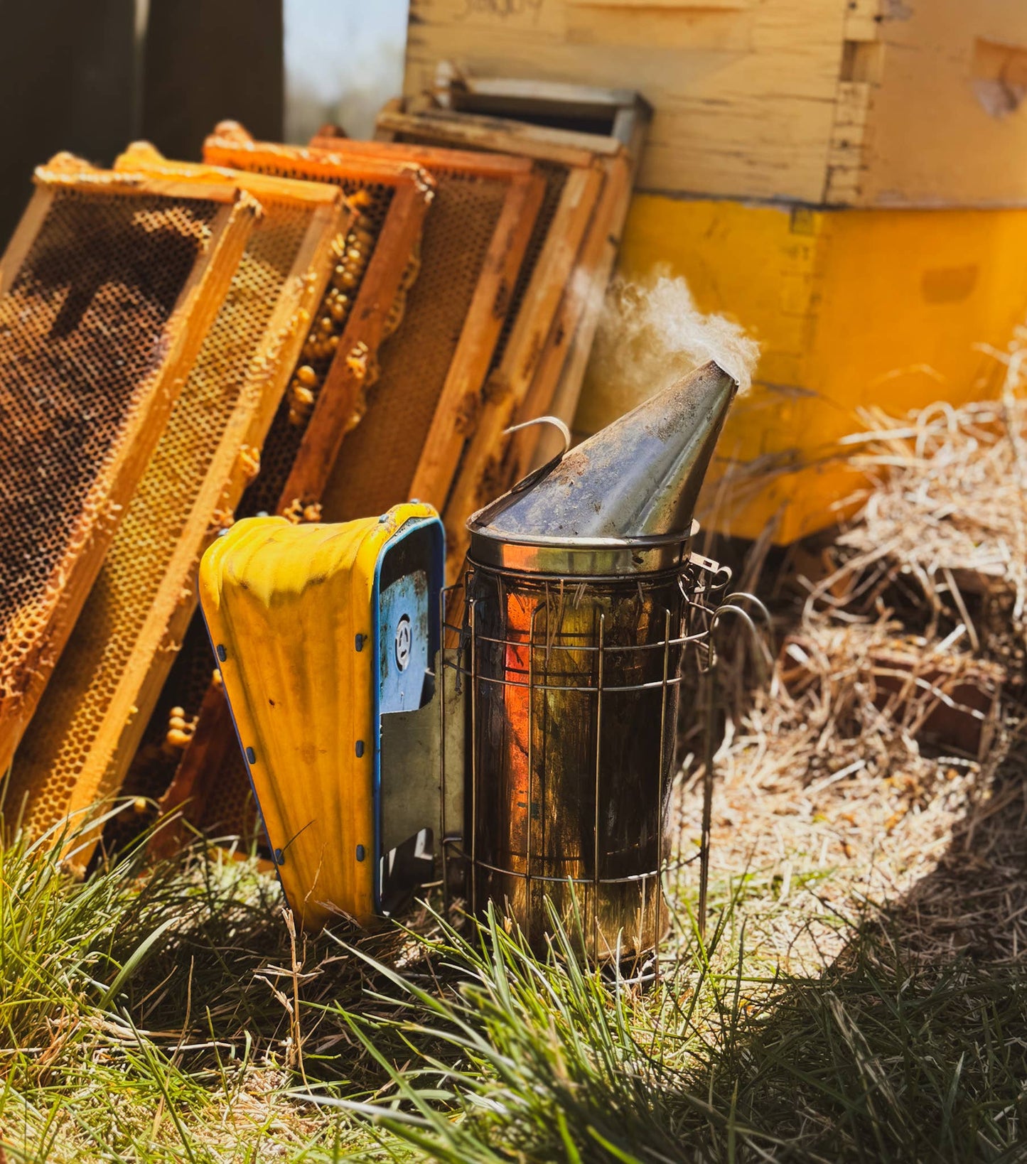 Plain and Simple - Milk and Honey Lotion - 2oz Travel