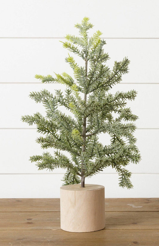 Frosted Pine In Wooden Base, 18 Inches