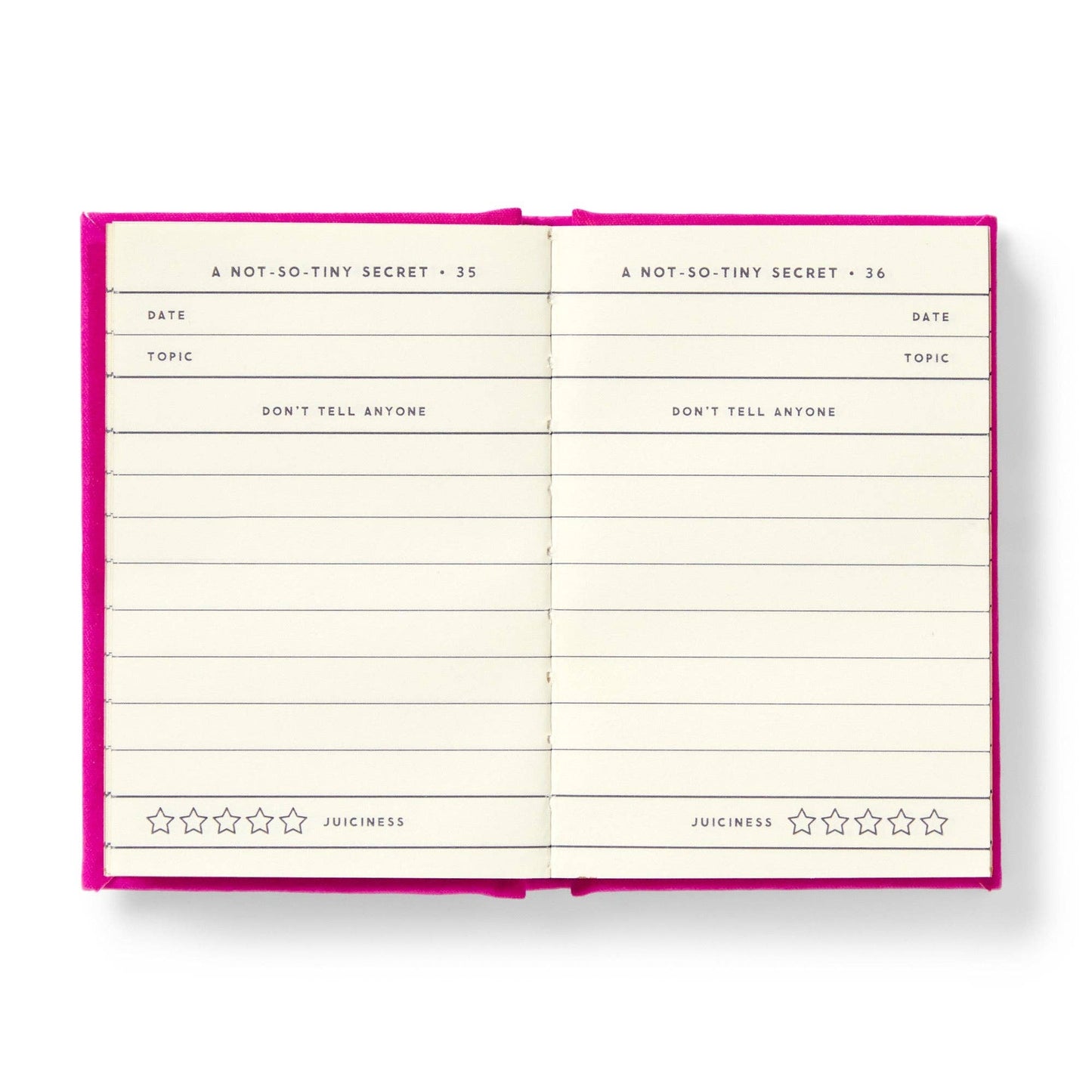 Brass Monkey Tiny Diary for Not So Tiny Secrets